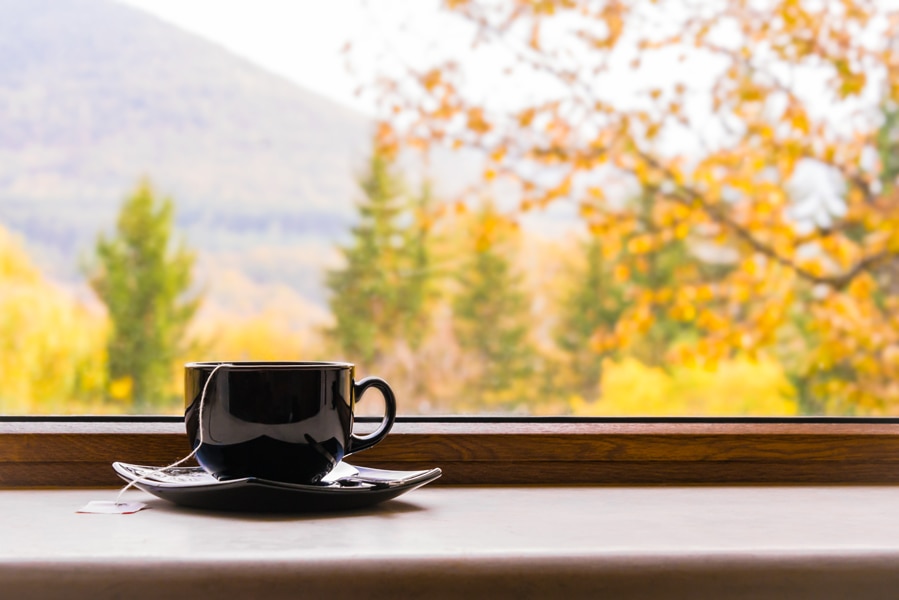 A cup of tea in front of a window.